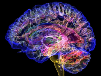 操BB网站大脑植入物有助于严重头部损伤恢复